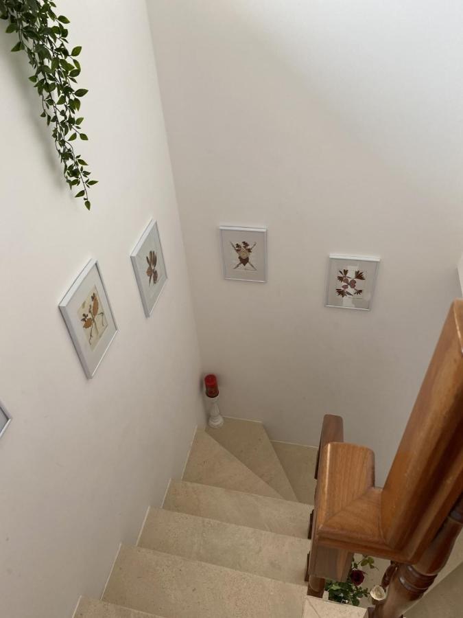 Casa Da Avo Fatima Apartment Gois Luaran gambar